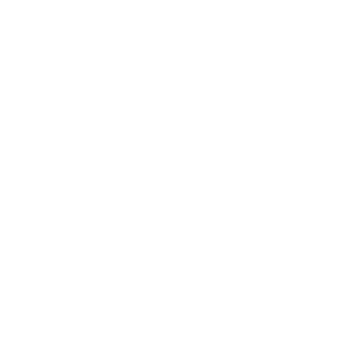 Institution Icon
